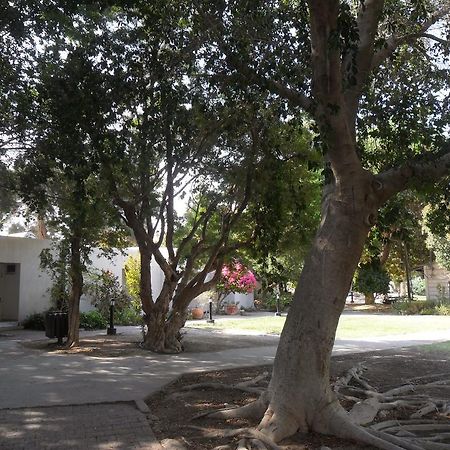 Almog Kibbutz Hotel Esterno foto