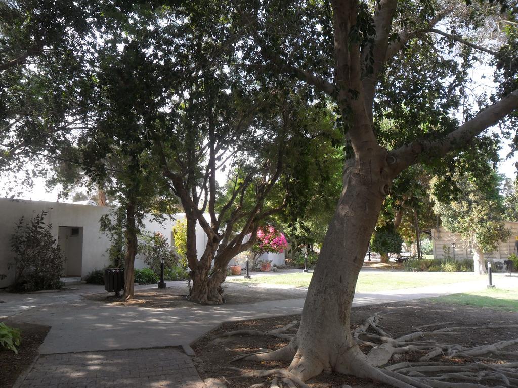 Almog Kibbutz Hotel Esterno foto