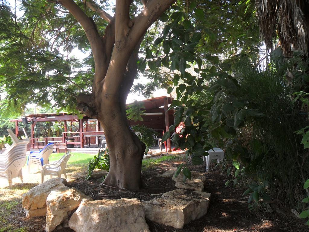 Almog Kibbutz Hotel Esterno foto